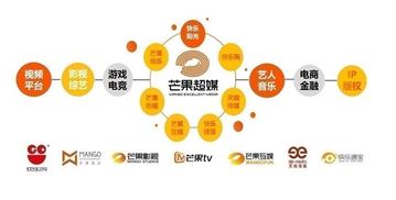 芒果超媒上半年業(yè)績飆升 扣非凈利勁增74倍，會員與廣告業(yè)務(wù)雙翼齊飛